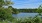 a body of water surrounded by trees