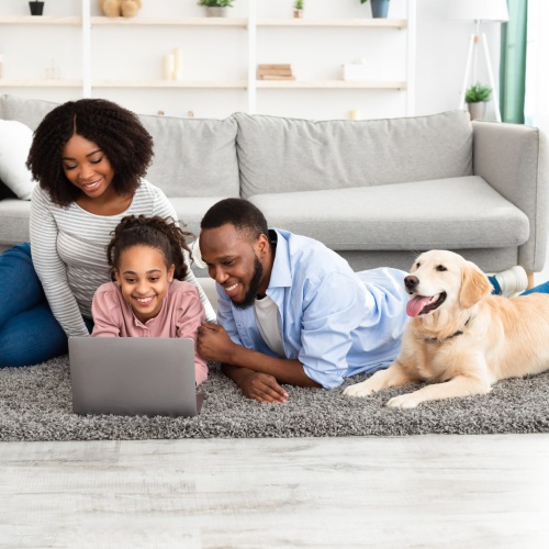 Pet Policy Image